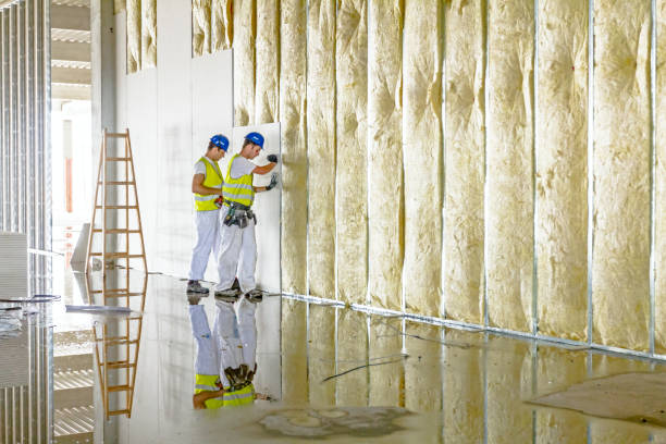 Best Commercial Insulation in Cheraw, SC